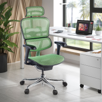Cadeira executiva ergonomica Ergohuman Edition I, Estrutura preta