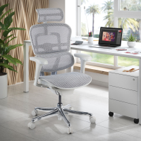 Cadeira executiva ergonomica Ergohuman Edition I, Estrutura branca