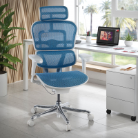 Cadeira executiva ergonomica Ergohuman Edition I, Estrutura branca