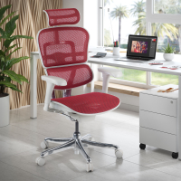Cadeira executiva ergonomica Ergohuman Edition I, Estrutura branca