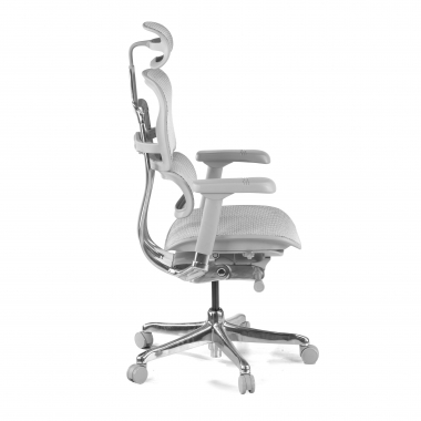 Cadeira executiva ergonomica Ergohuman Elite, Estrutura branca