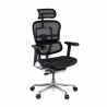 Cadeira executiva ergonomica Ergohuman Elite, Estrutura preta