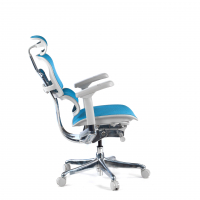 Cadeira executiva ergonomica Ergohuman Elite, Estrutura branca
