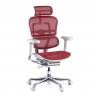 Sedia Ergonomica Ergohuman Elite, pelle naturale