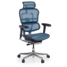 Cadeira executiva ergonomica Ergohuman Elite, Estrutura preta