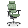 Cadeira executiva ergonomica Ergohuman Elite, Estrutura preta