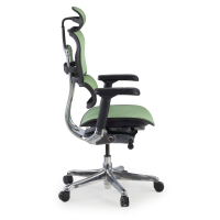 Cadeira executiva ergonomica Ergohuman Elite, Estrutura preta
