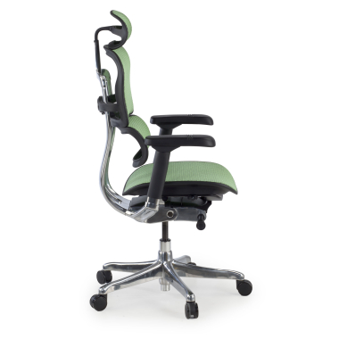 Cadeira executiva ergonomica Ergohuman Elite, Estrutura preta