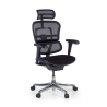 Cadeira ergonómica Ergohuman V2, assento estofado, moldura preta