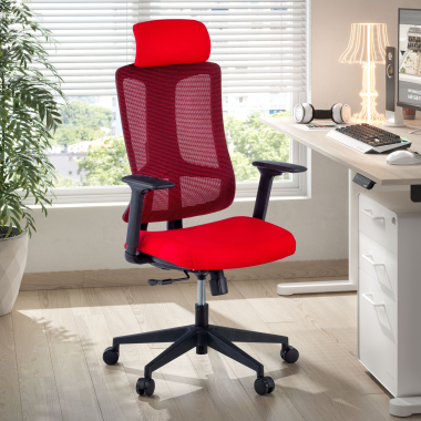 Ergonomia