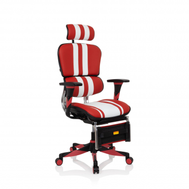 Cadeira Gaming profissional Ergohuman, Ajustes Avançados 210735 - (Outlet)