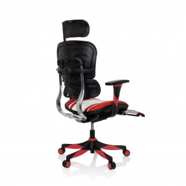 Cadeira Gaming profissional Ergohuman, Ajustes Avançados 210735 - (Outlet)