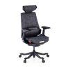 Cadeira Gaming Ergonômica BloodDragon