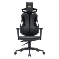Cadeira Gaming design Phoenix, encosto ergonômico