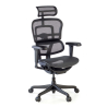 Cadeira Ergohuman Ultra Black Carbon Edition