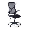 Cadeira de computador Raptor, braços dobráveis, encosto ergonômico