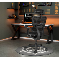 Cadeira Ergohuman Ultra Black Carbon Edition